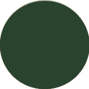 Dark Green Homecoming Dresses Canada