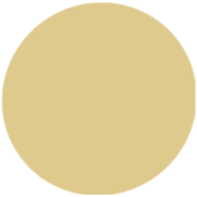 Gold Homecoming Dresses Canada